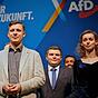 Die Kaderschmiede der AfD